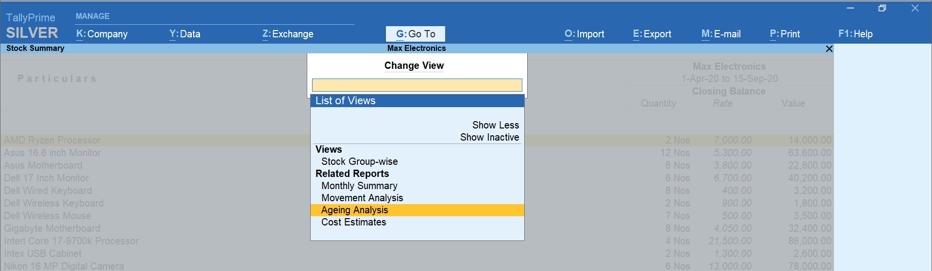 change view in tallyprime