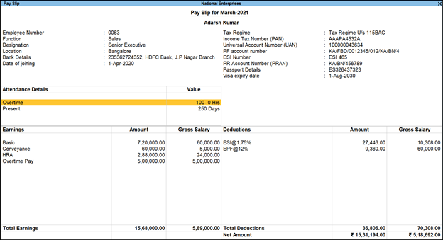 Tally Generated Pay Stub/Payslip